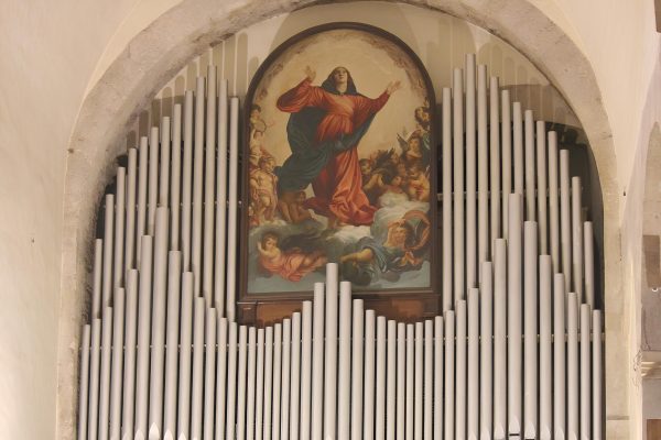 assunta concattedrale bovino
