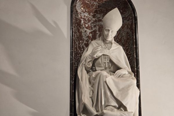 mons. farina
