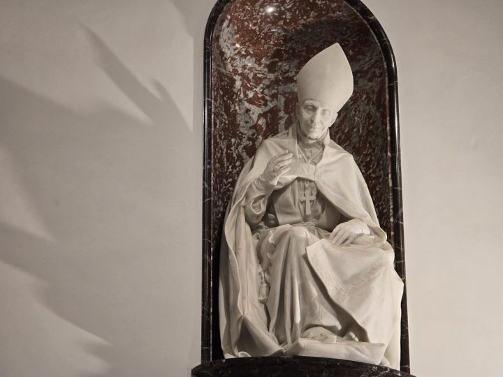 mons. farina